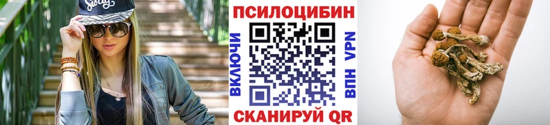 Псилоцибиновые грибы Magic Shrooms  Купить  Богородск 